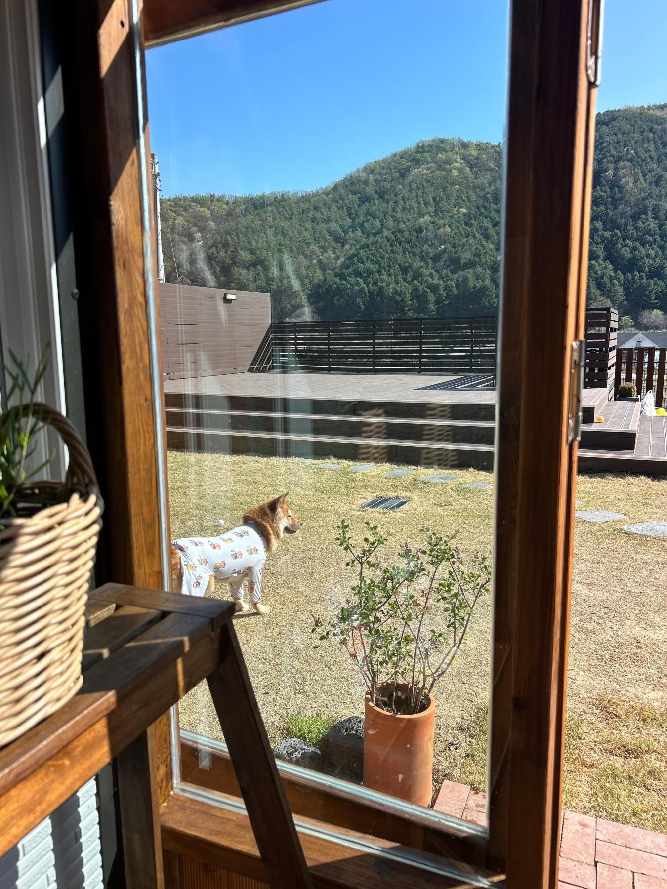 지혜의숲