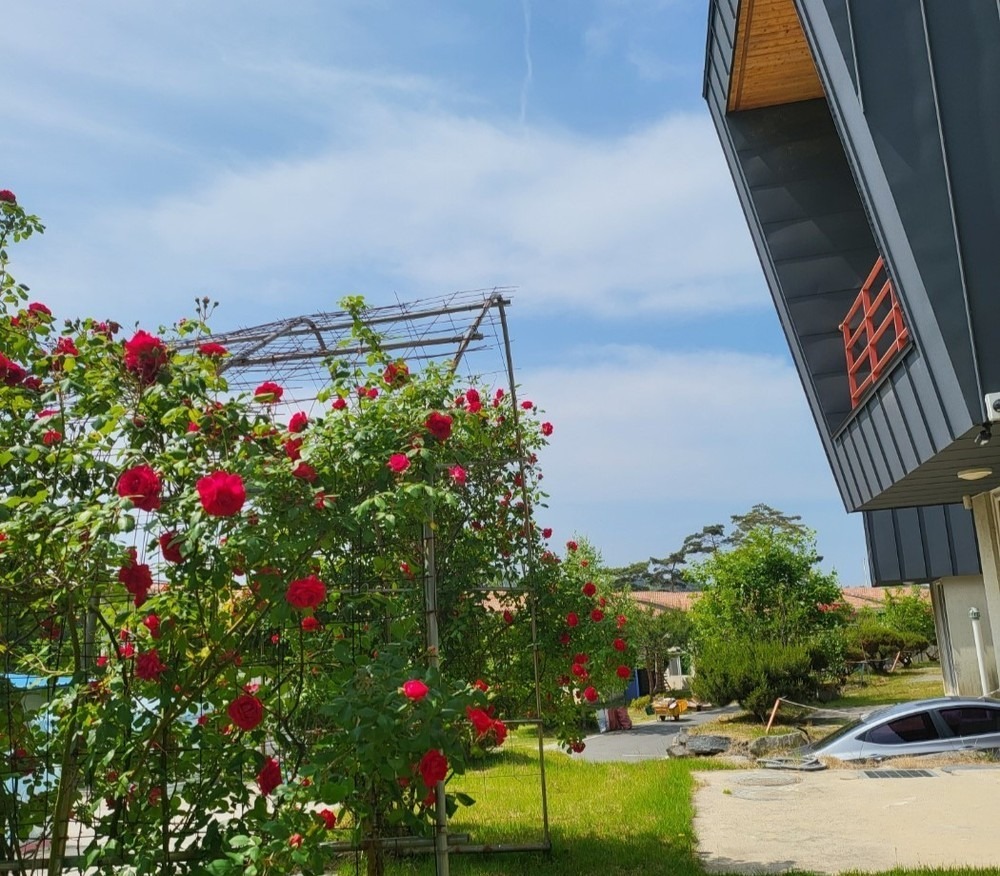 보령 바로빌리지