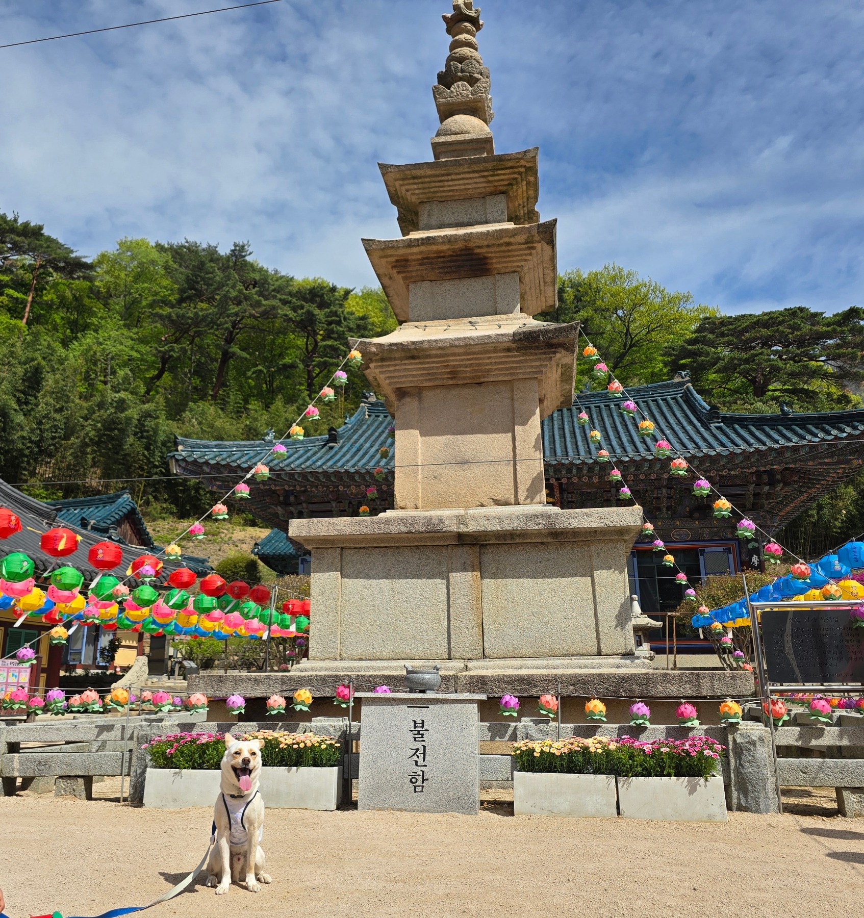 석남사