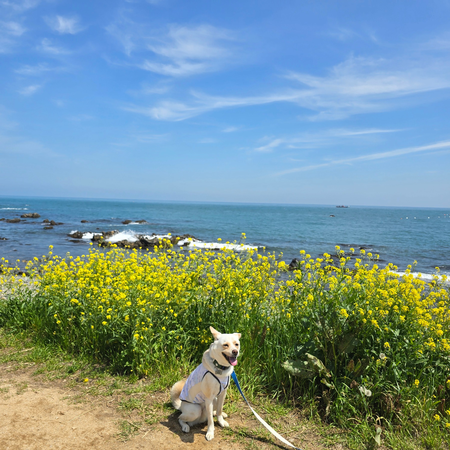 슬도