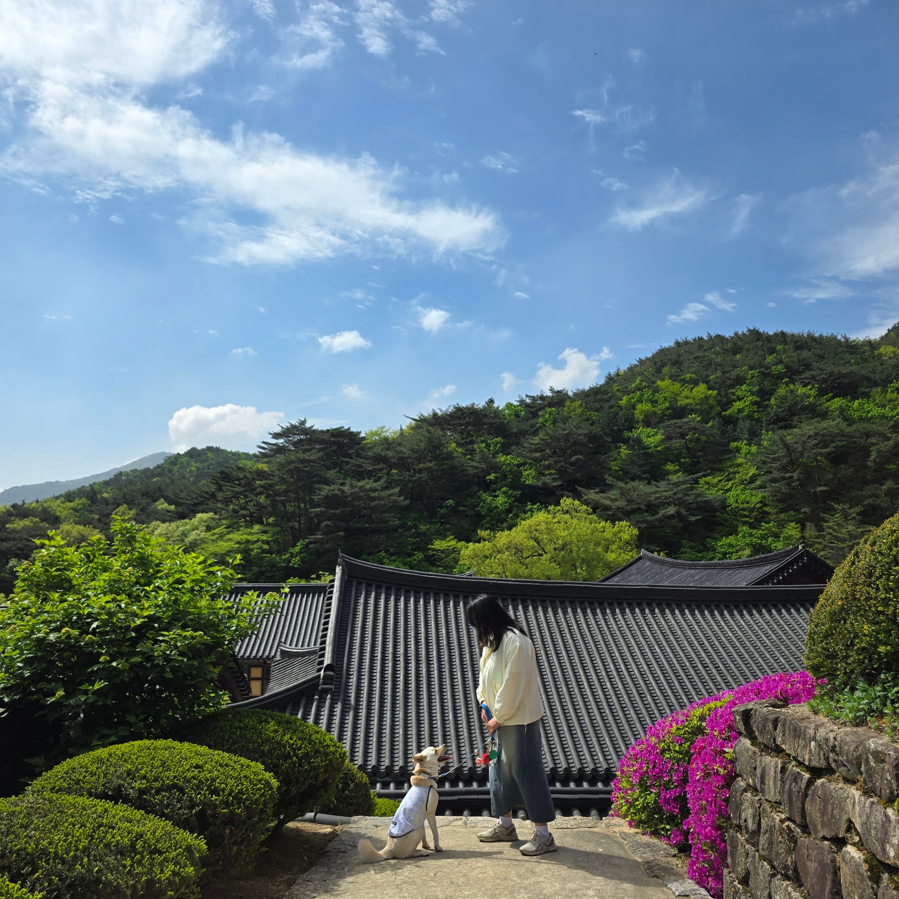 석남사