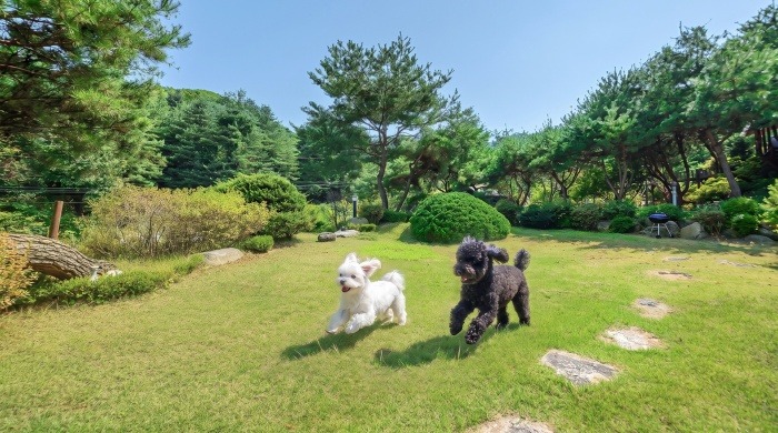 포천 아름드리스파펜션