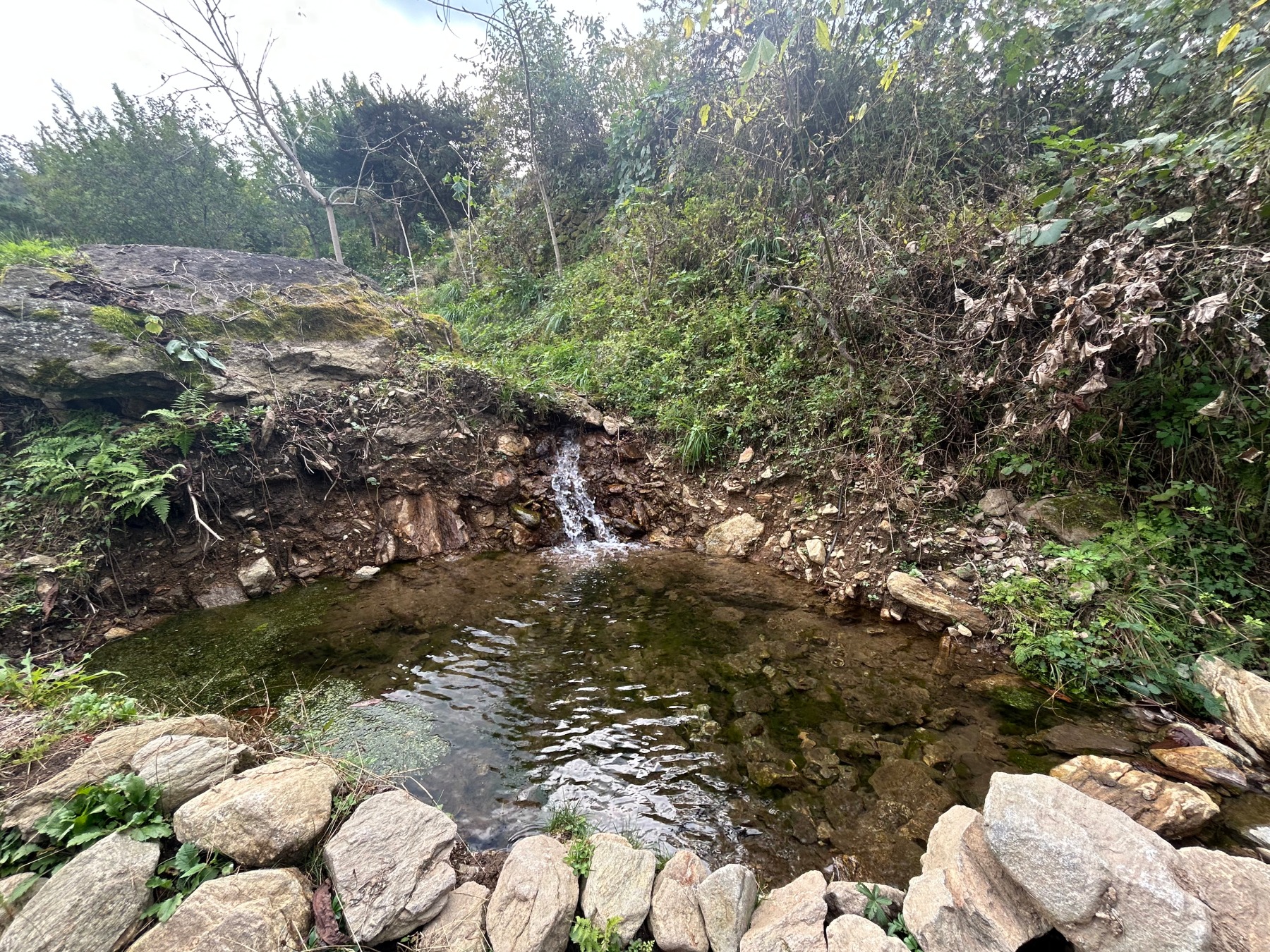 남양주 쿼크밸리캠프