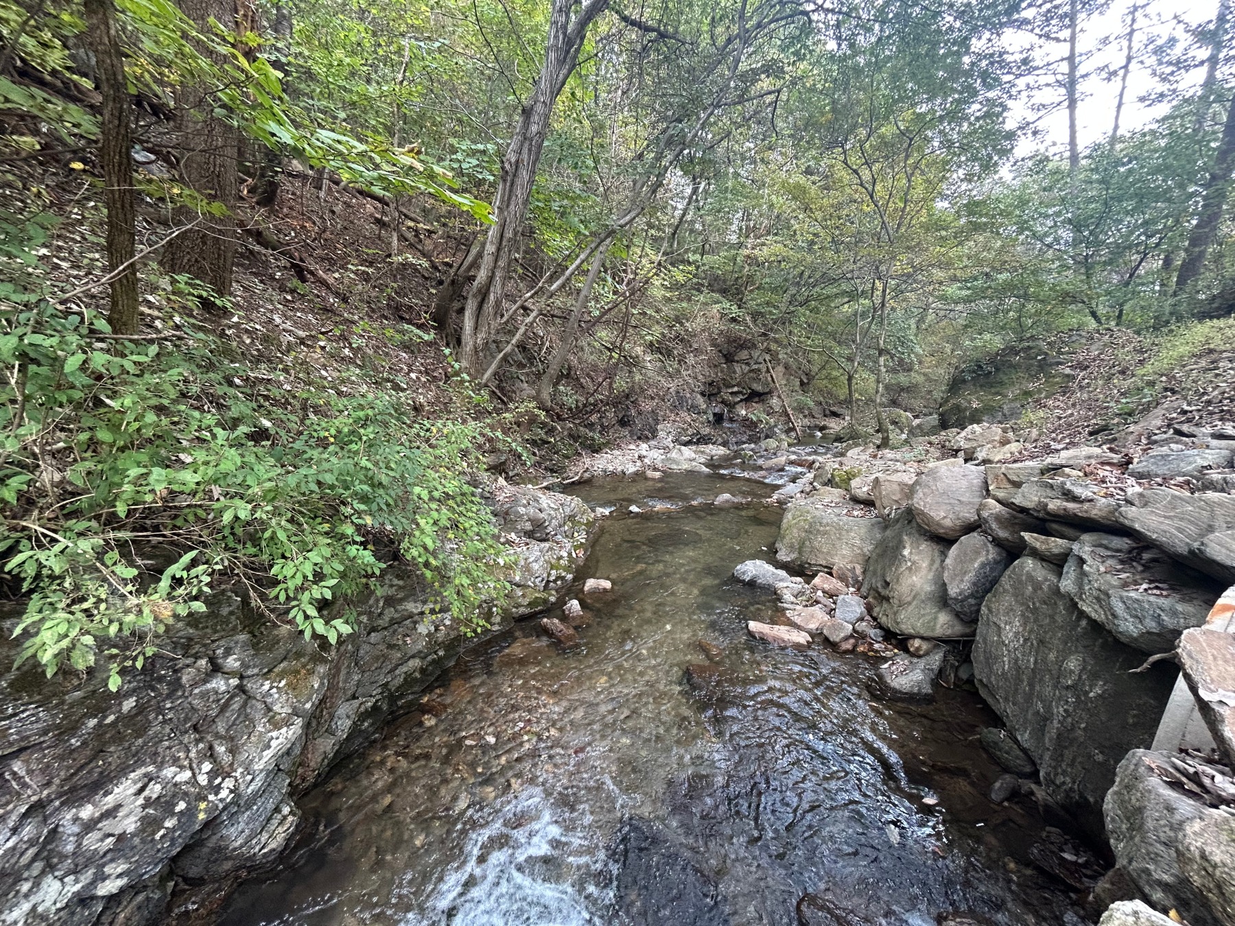 남양주 쿼크밸리캠프
