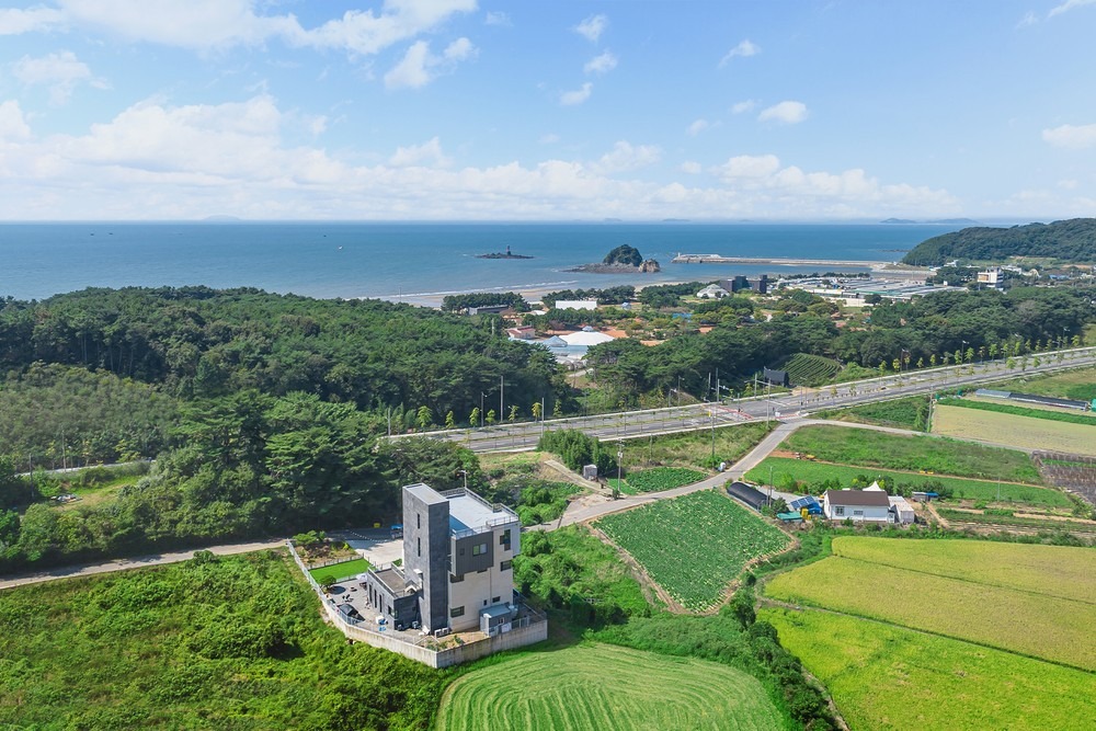 태안 더블루네스 풀빌라 애견펜션