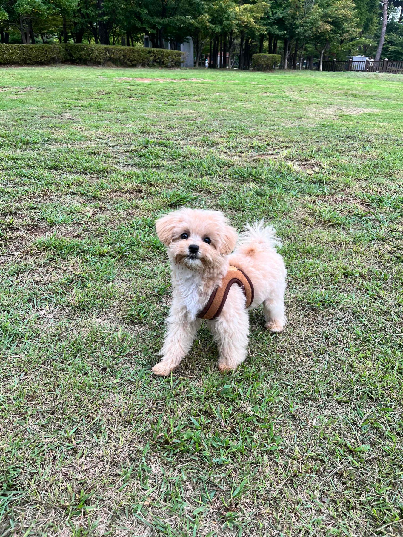 APEC나루공원