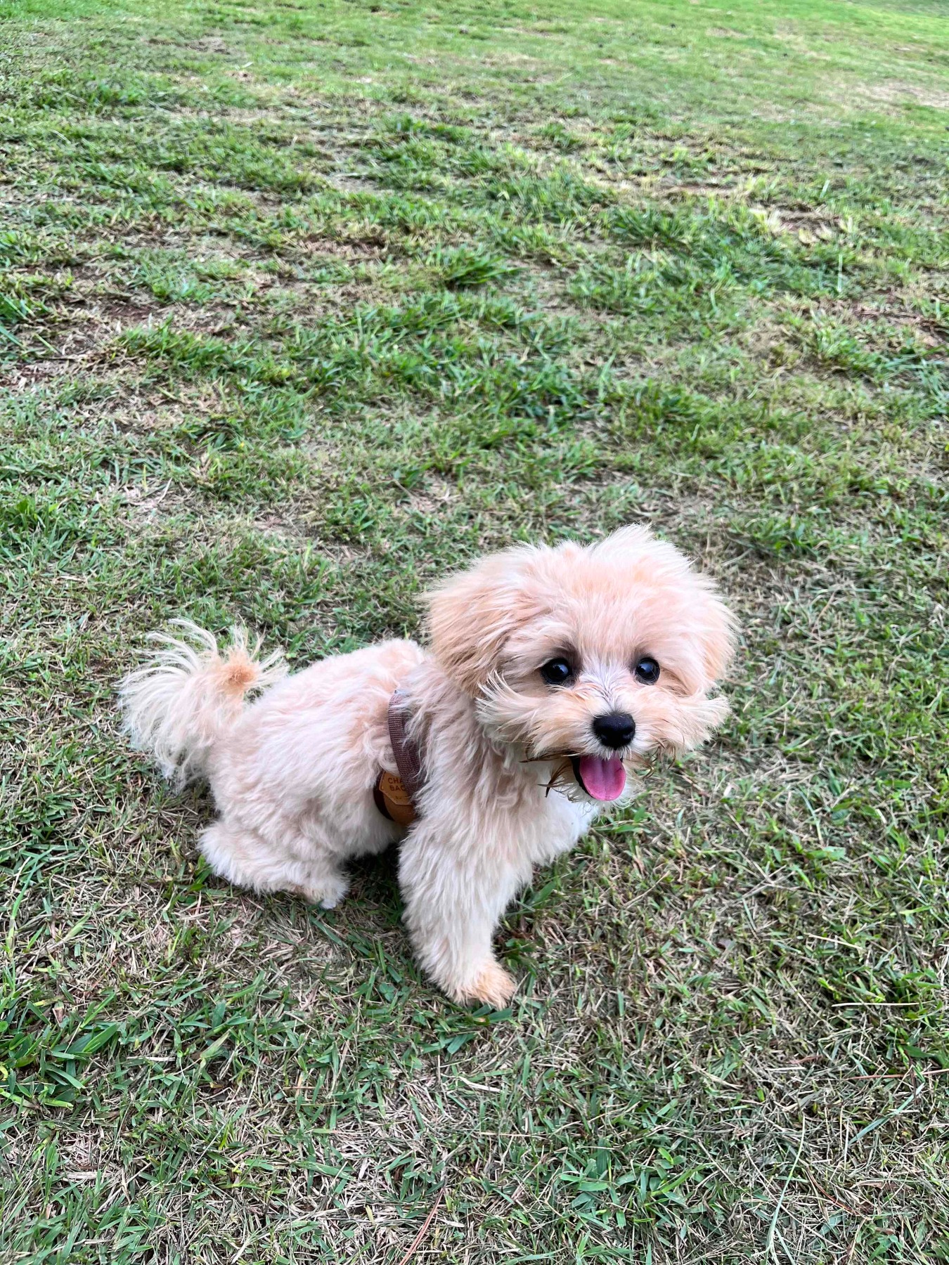 APEC나루공원