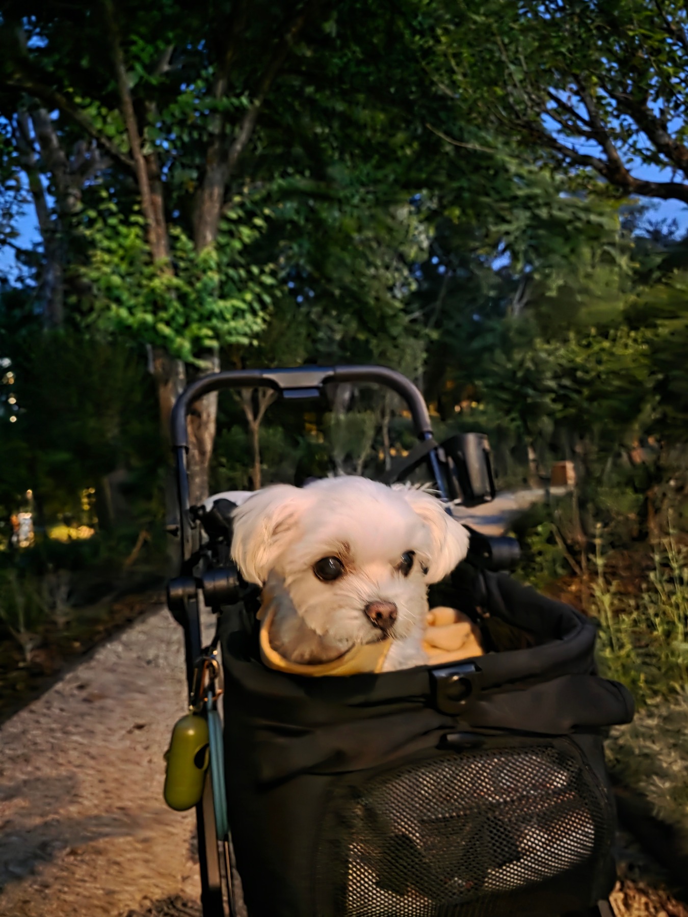 서울숲