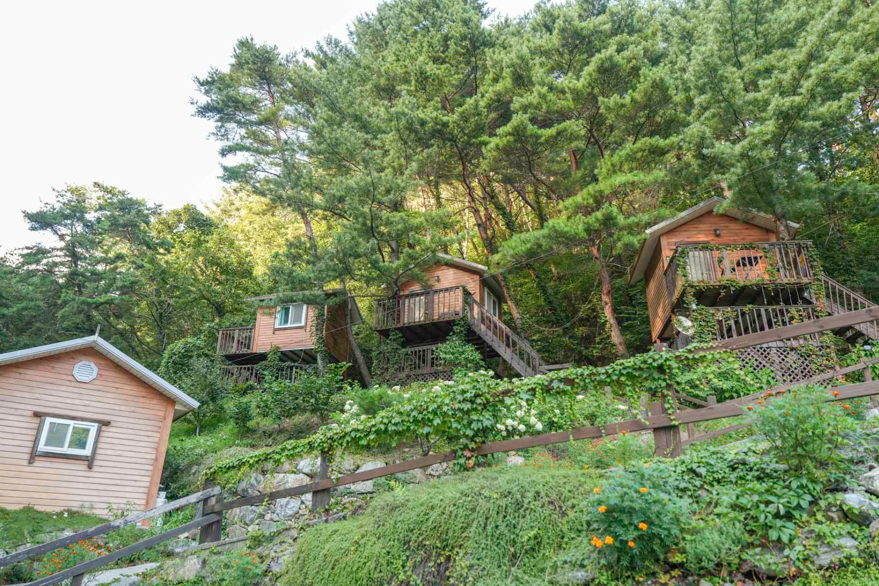 영월 숲속트리하우스