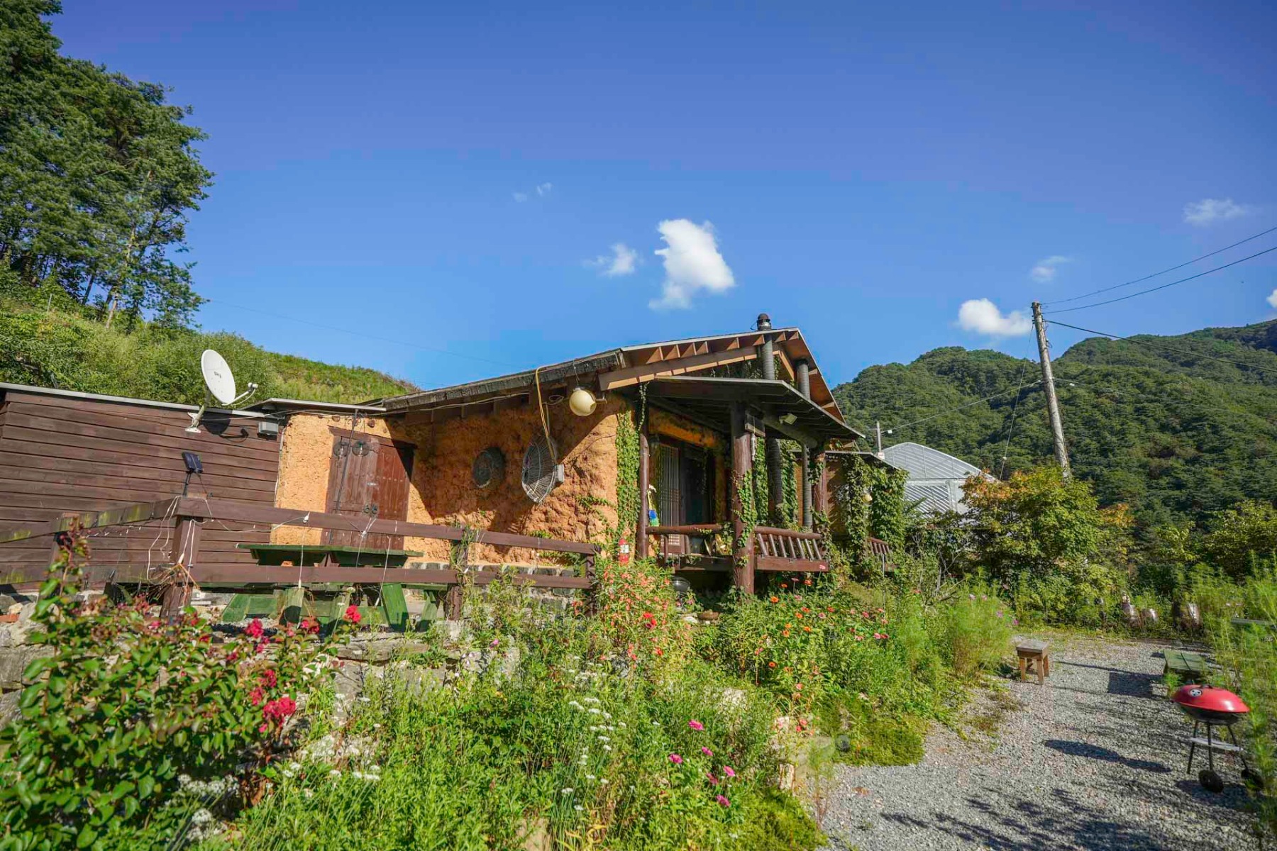 영월 숲속트리하우스