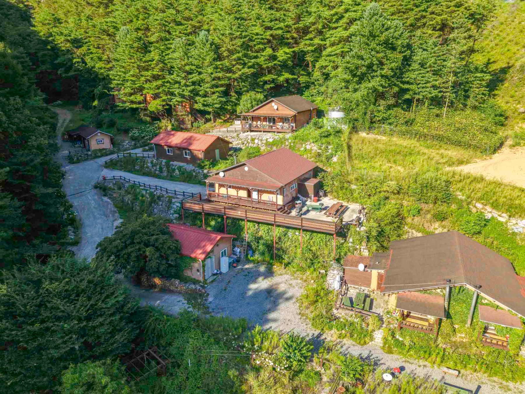 영월 숲속트리하우스