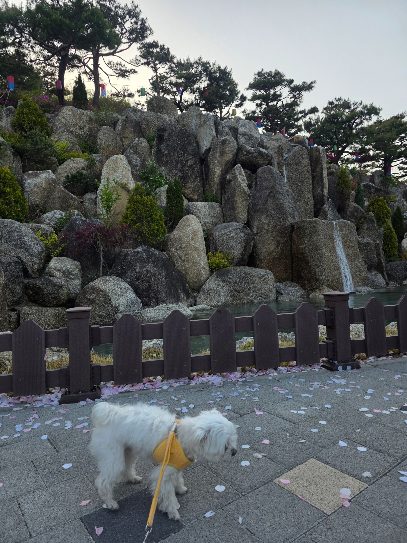 철쭉동산