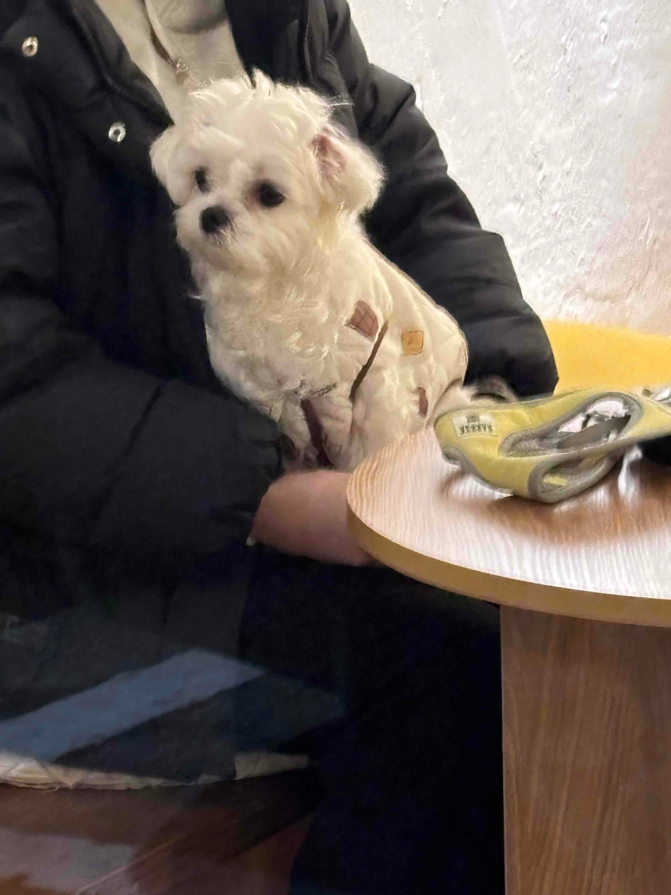 카페이포크