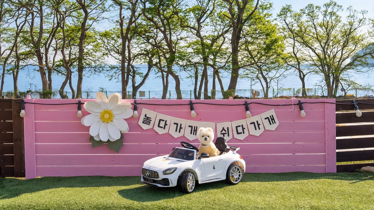 남해 댕댕이 애견 펜션 블루