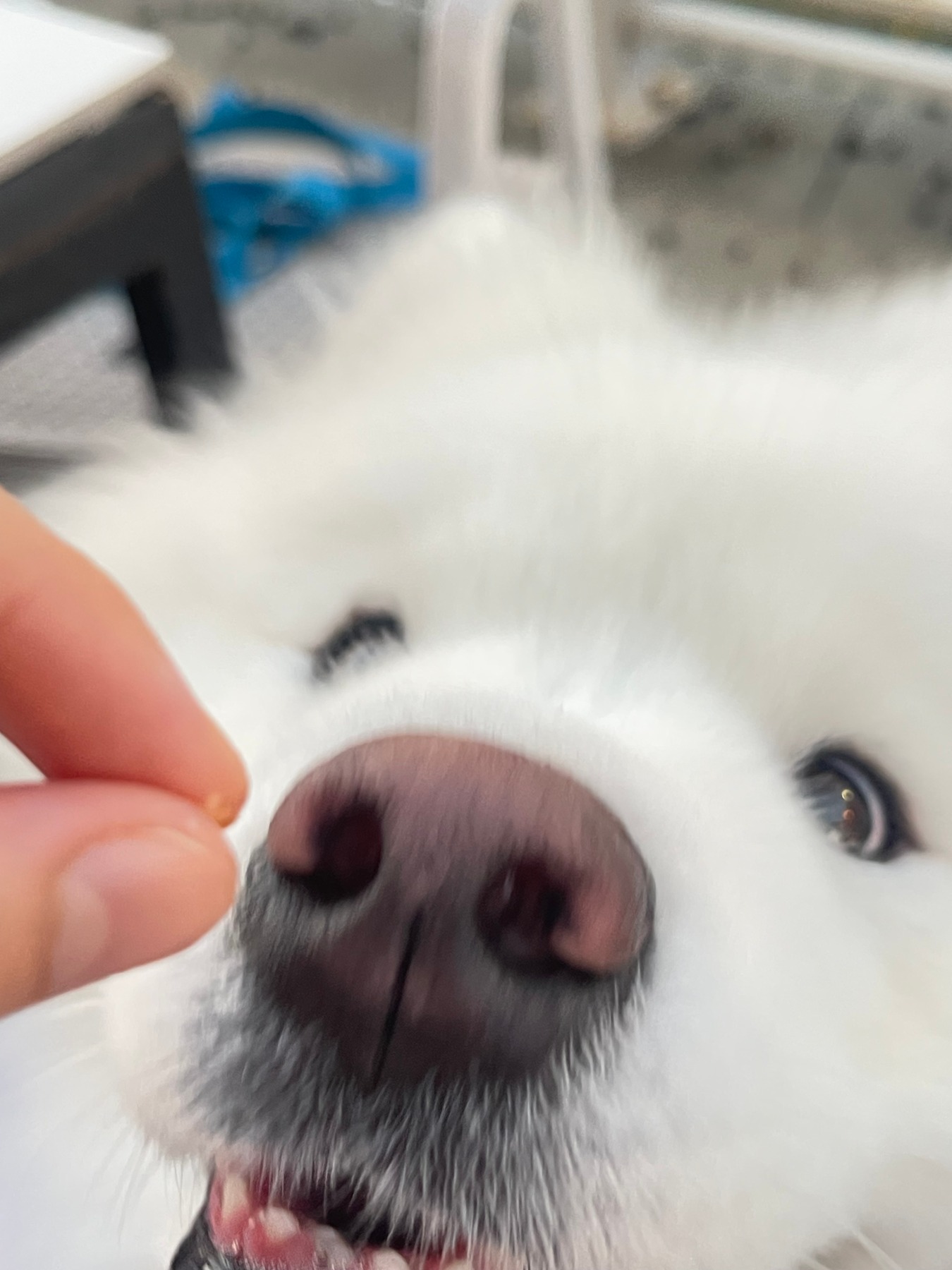 그랜마스 경기광주점