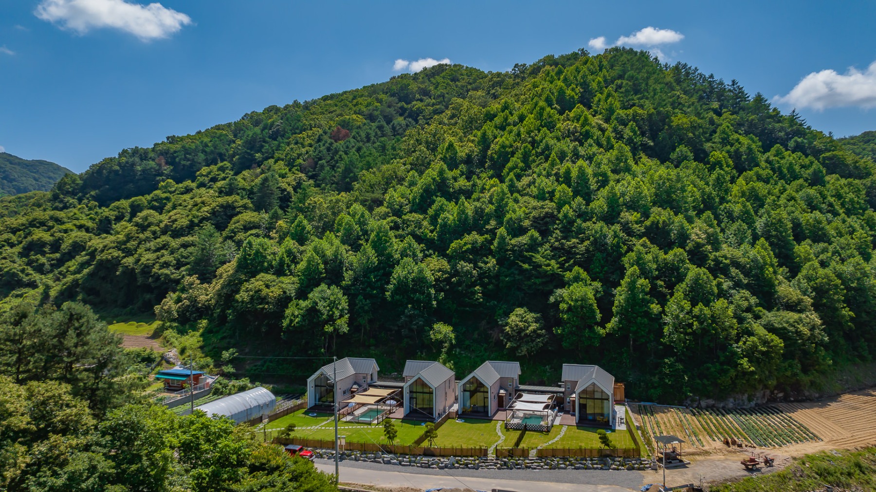춘천 애견펜션 햅독