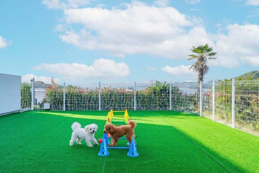 여수 네모애견동반풀빌라펜션