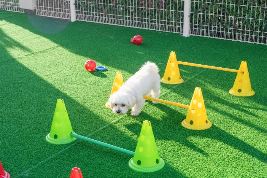 여수 네모애견동반풀빌라펜션