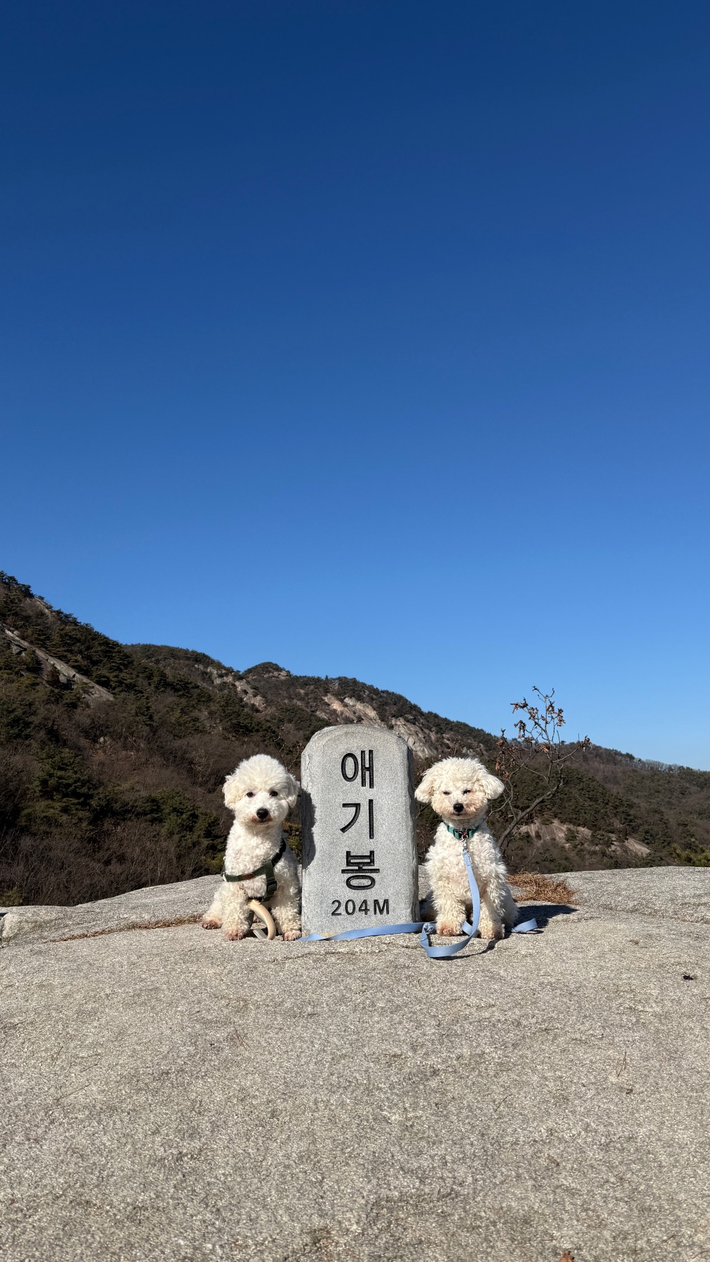 애기봉