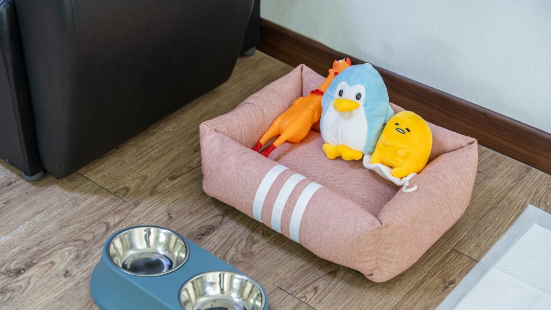 숙소 사진