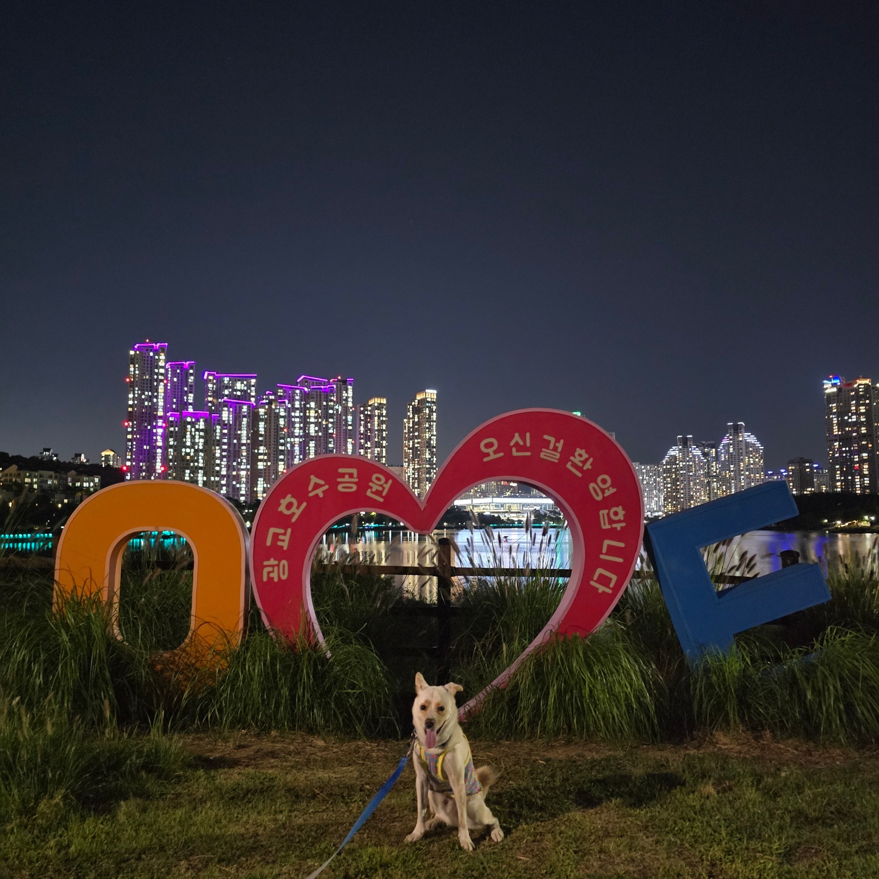 광교호수공원