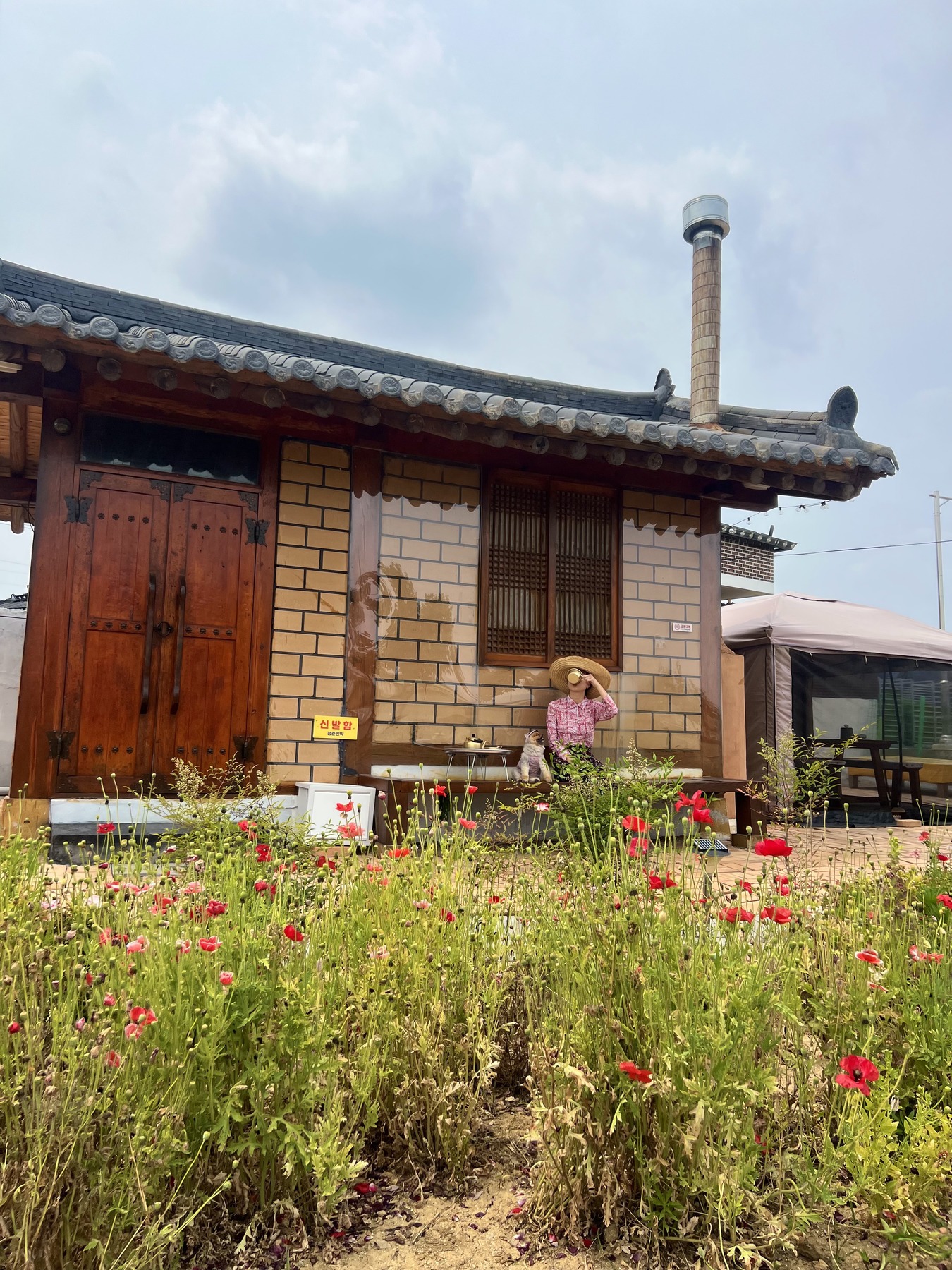 청춘민박