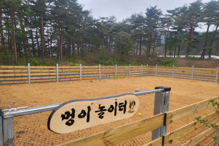 양양 설악대문터 계곡펜션 사진 4