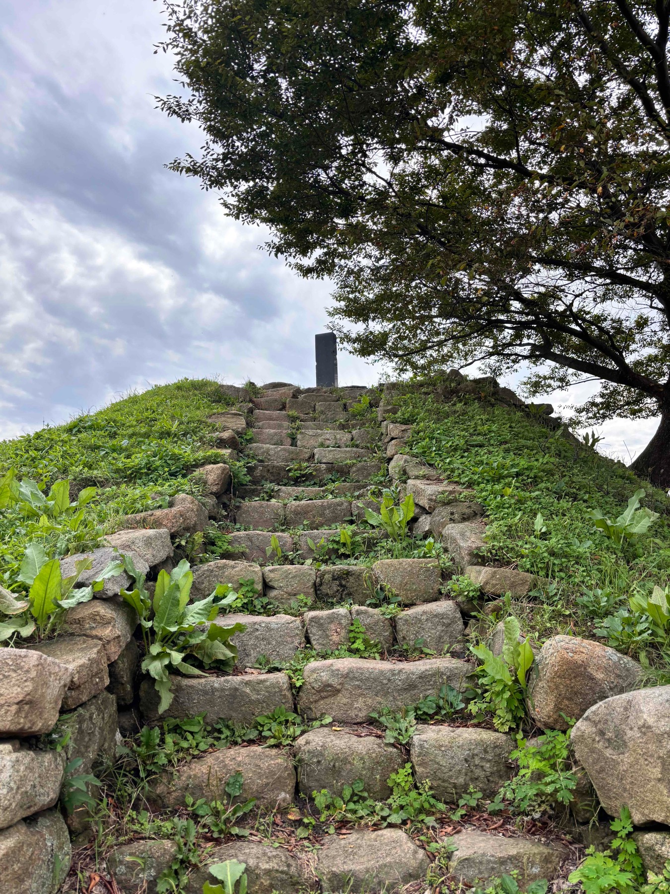 백화산