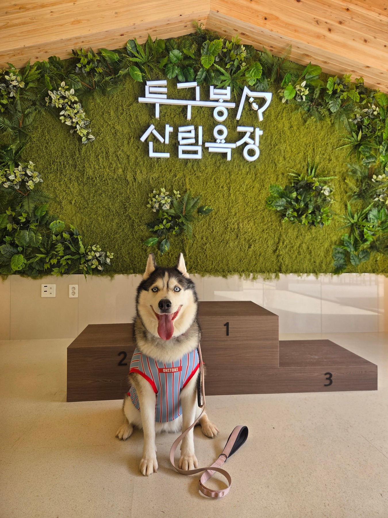 투구봉산림욕장