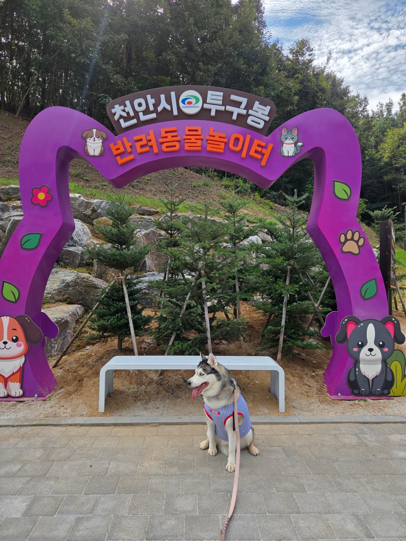 투구봉산림욕장