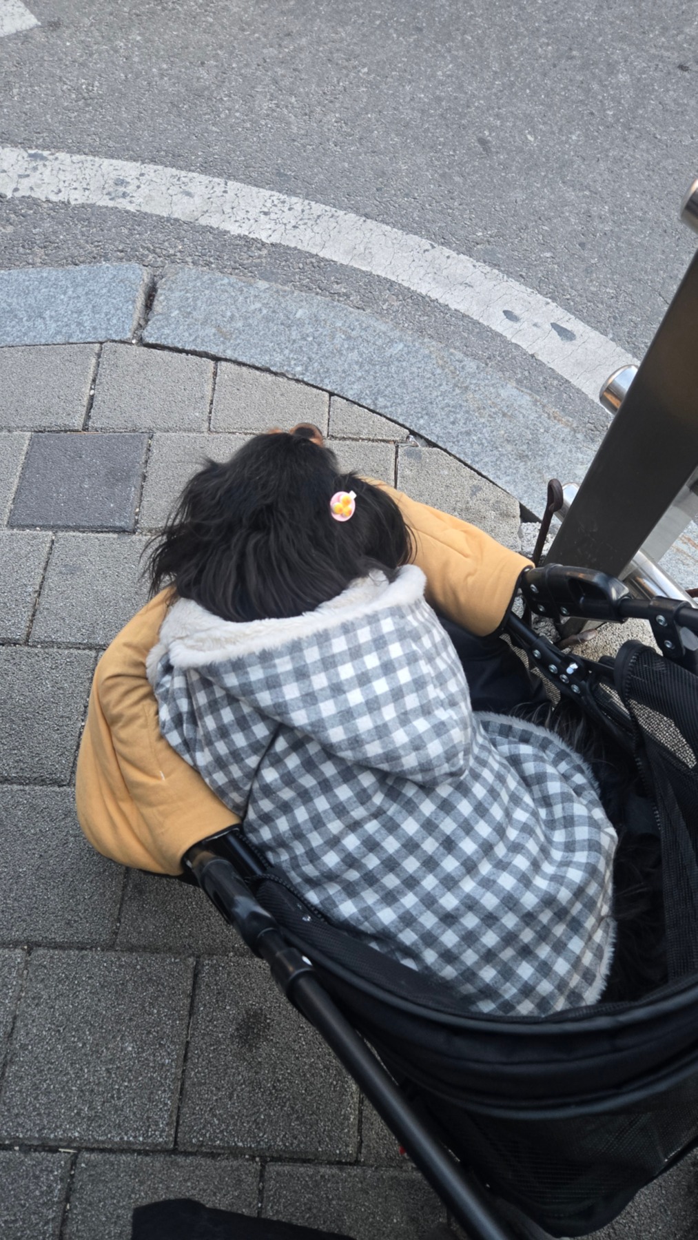 속초관광수산시장