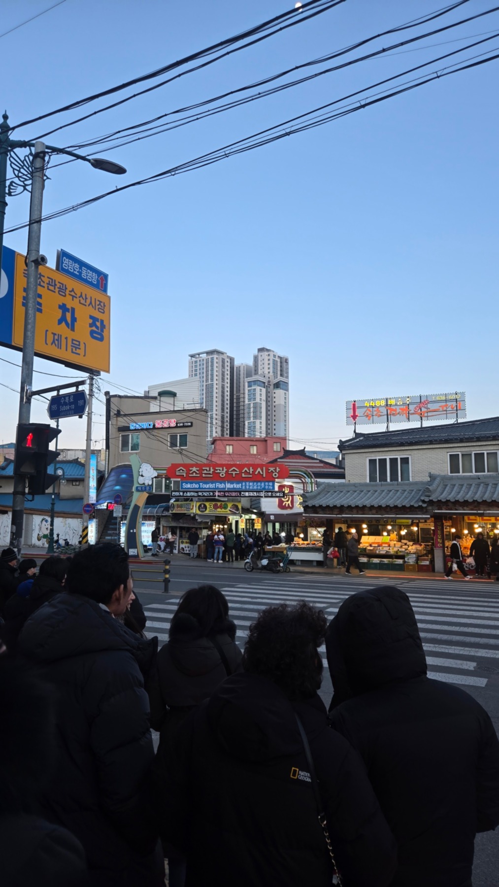 속초관광수산시장