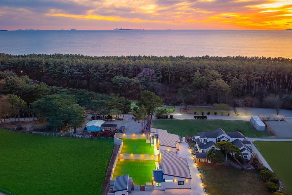 태안 도그데이애견풀빌라