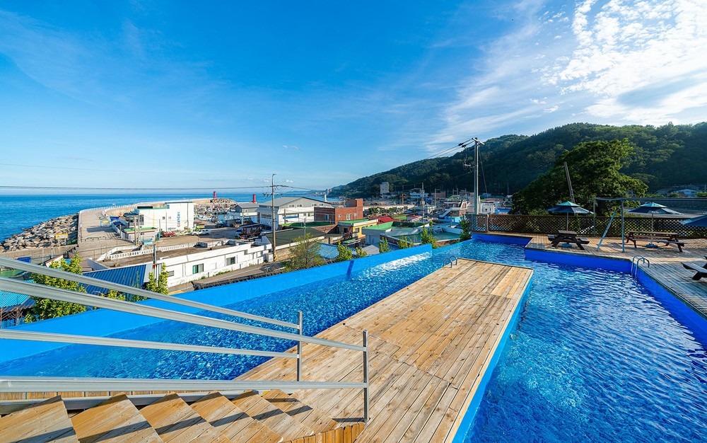 더원애견펜션