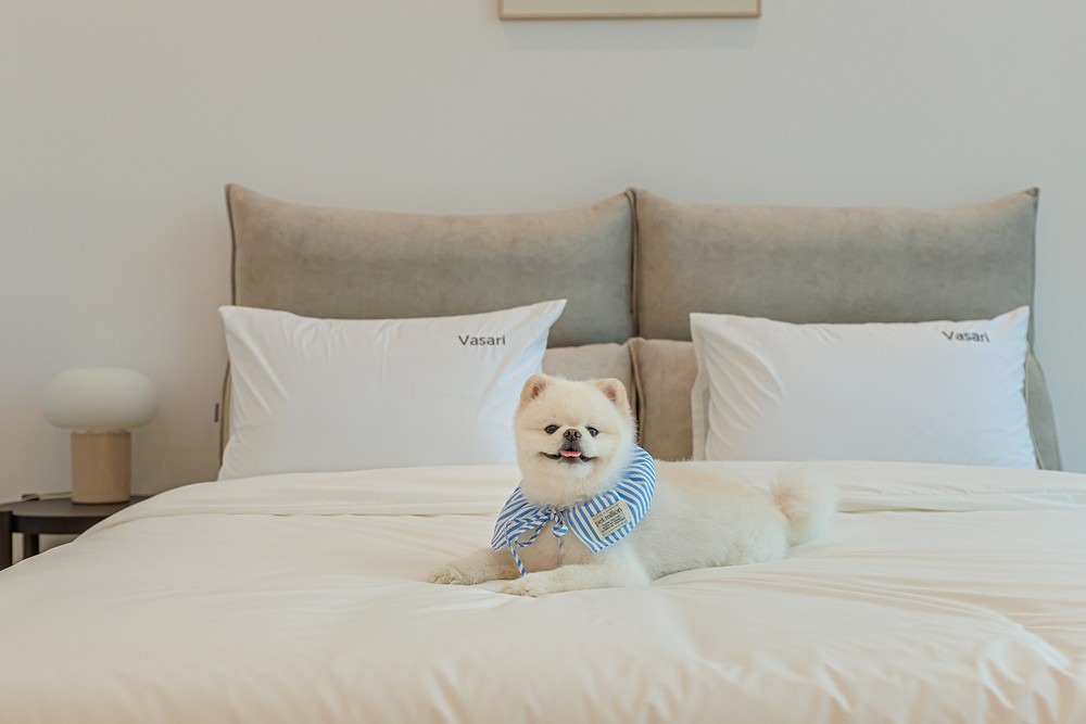 경주 바사리애견동반풀빌라