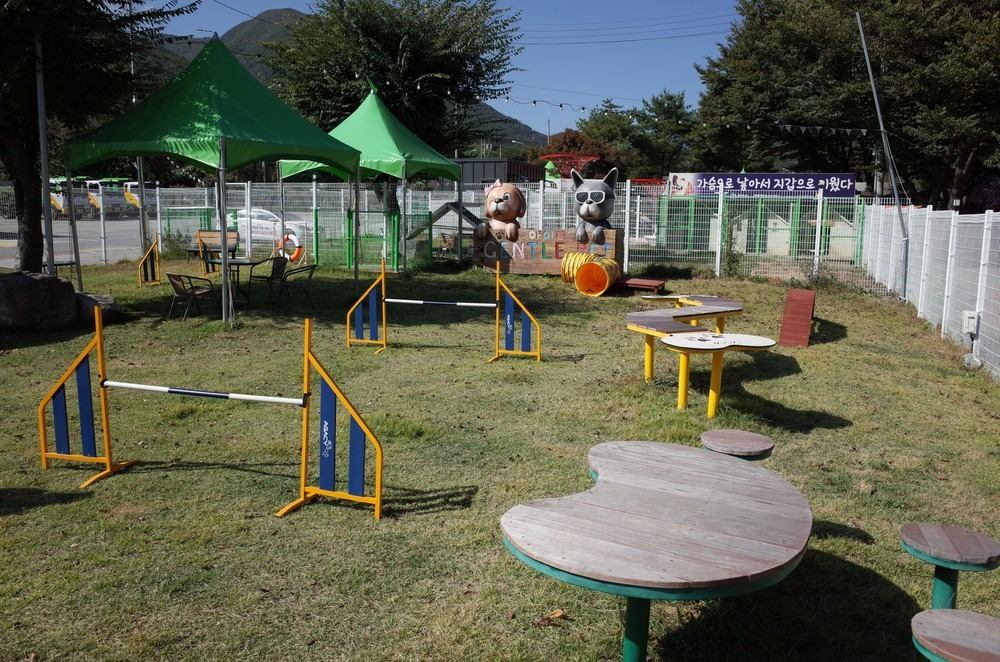 문경 애견동반글램핑 젠틀펫파라다이스