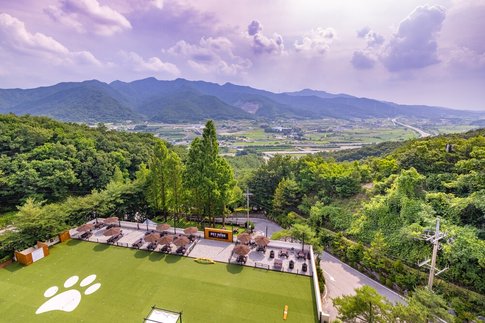 켄싱턴리조트 충주