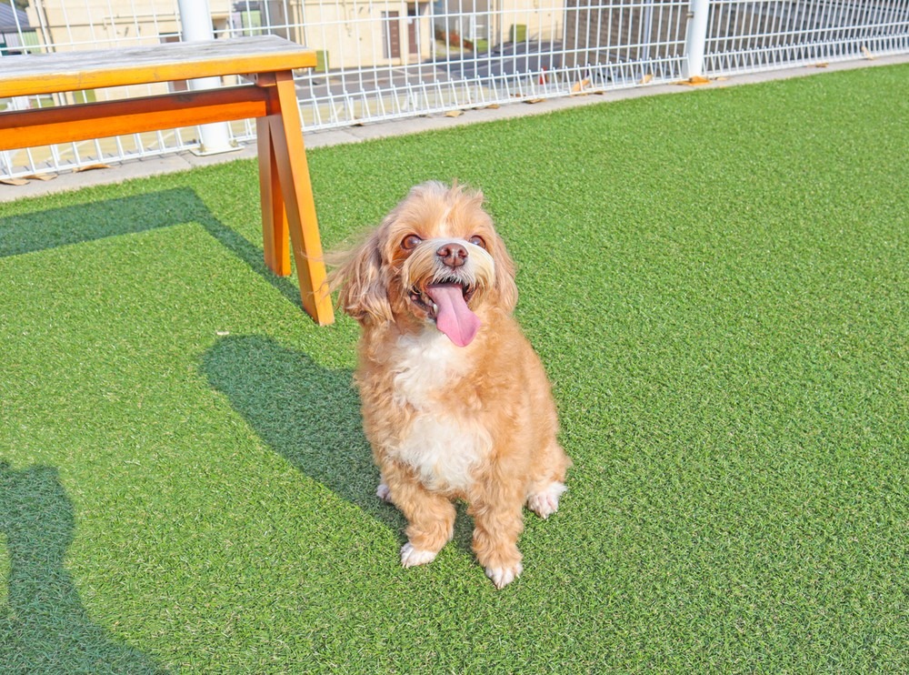 멍스빌리지풀빌라