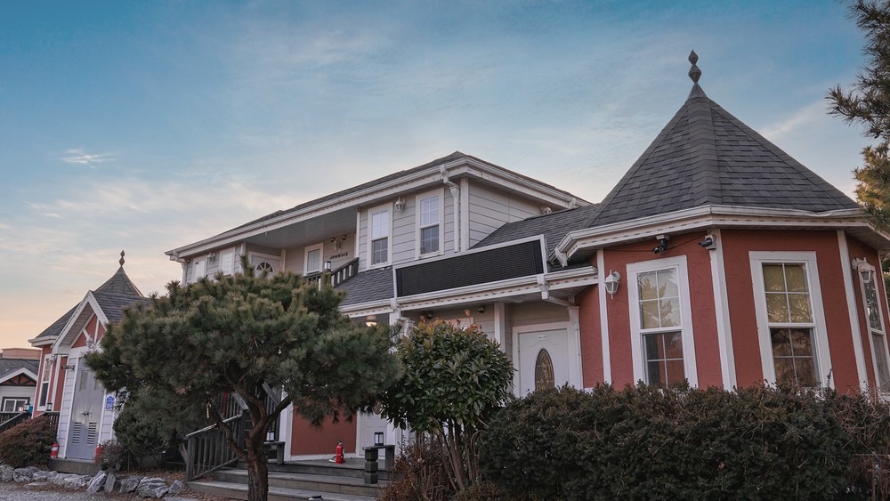 시골똥개애견펜션