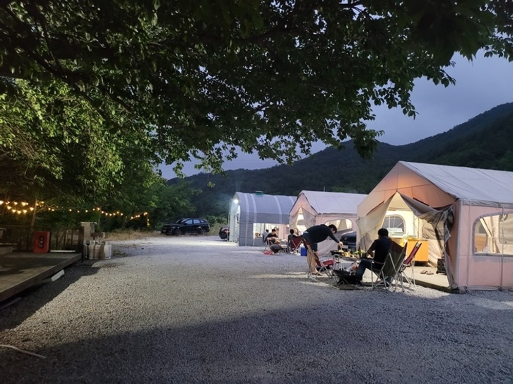 주문진글램핑오토캠핑장