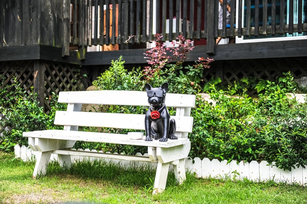 경주 마법의성 애견펜션