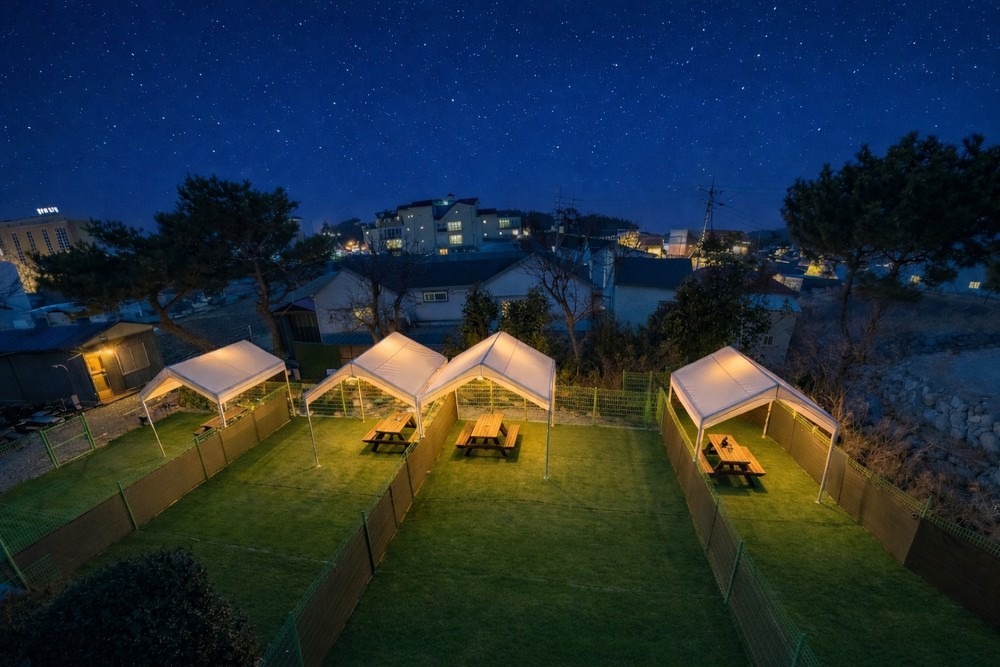 시골똥개애견펜션