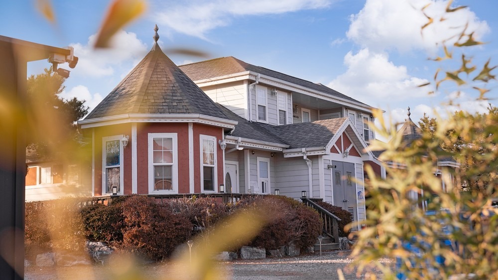 시골똥개애견펜션