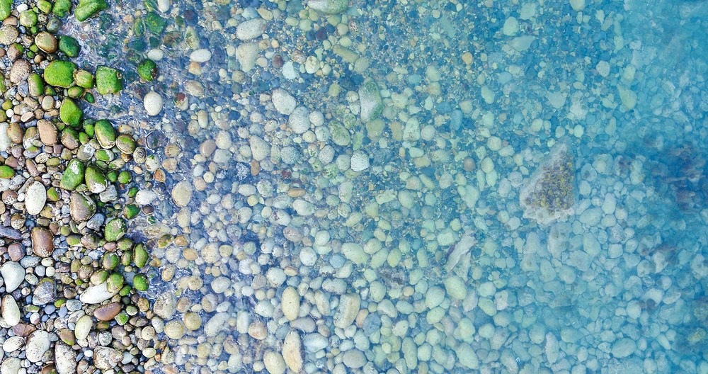 거제 로하스콘도(애견동반펜션)