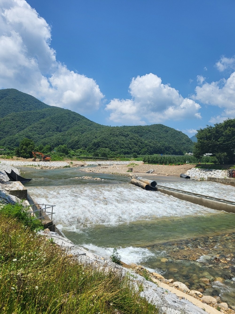 문경 애견동반글램핑 젠틀펫파라다이스