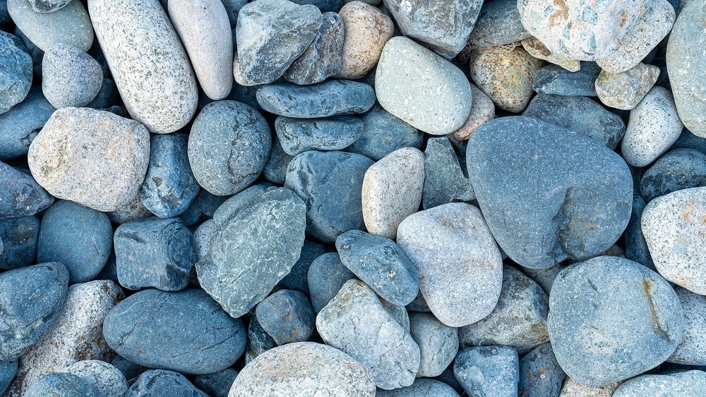 거제 로하스콘도(애견동반펜션)