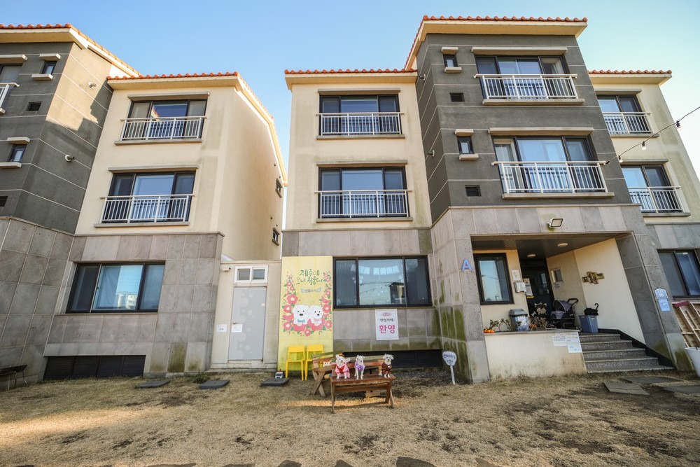 제주애견전문 엔젤하우스펜션