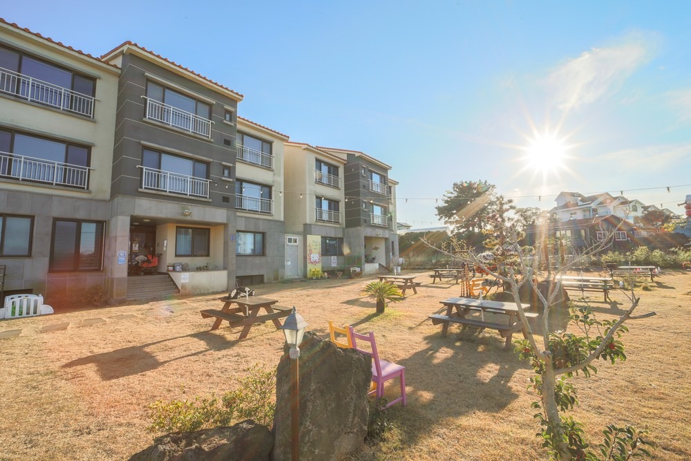 제주애견전문 엔젤하우스펜션