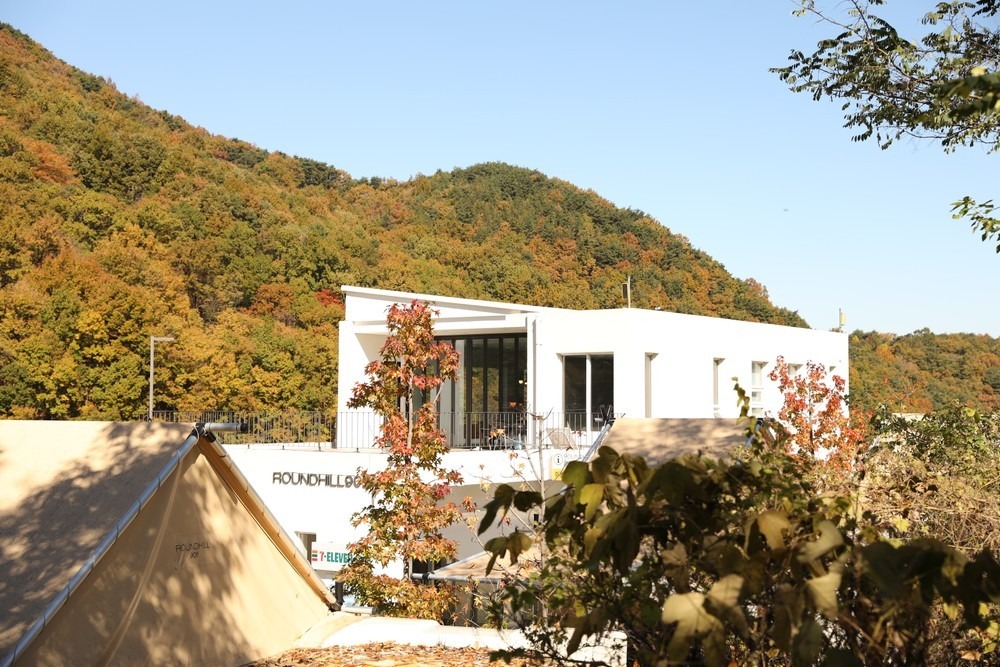 대구 라운드힐905