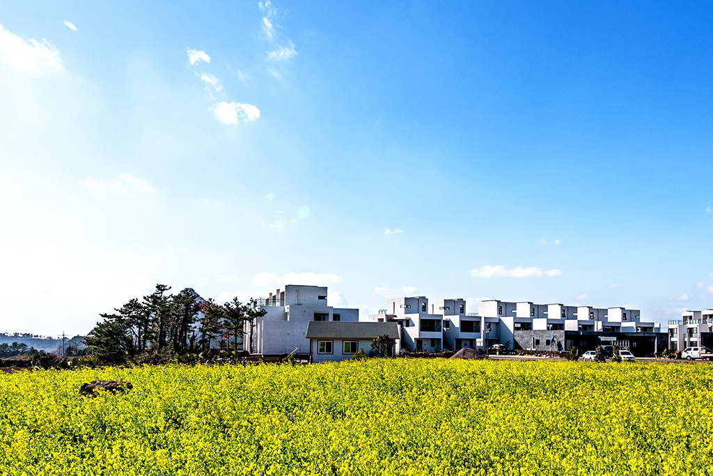 제주 산방산애 펜션